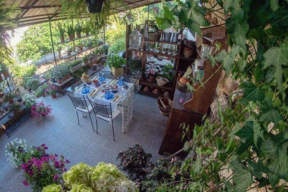 I Leoni Di Sicilia Palermo Villa Eksteriør bilde